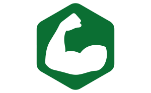 Image-1